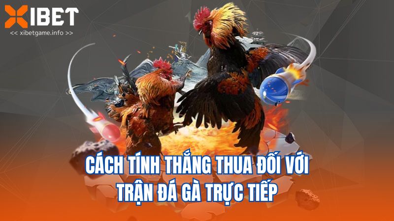 Cách tính thắng thua đối với trận đá gà trực tiếp