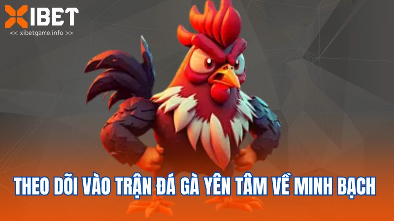 Theo dõi vào trận đá gà yên tâm về minh bạch 