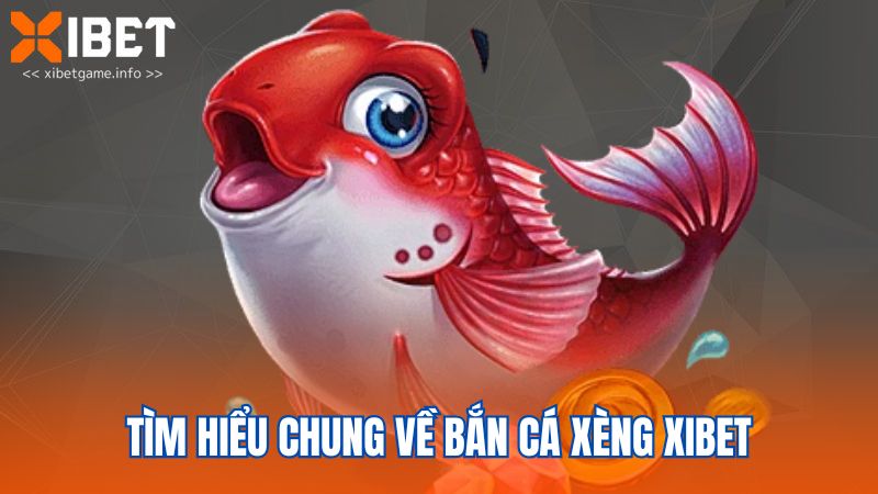 Tìm hiểu chung về bắn cá xèng XIBET